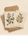 Botanical Notecards